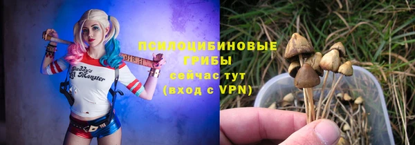 первитин Козловка